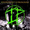 Infected Parasite - What Is Past Is Prologue - Single